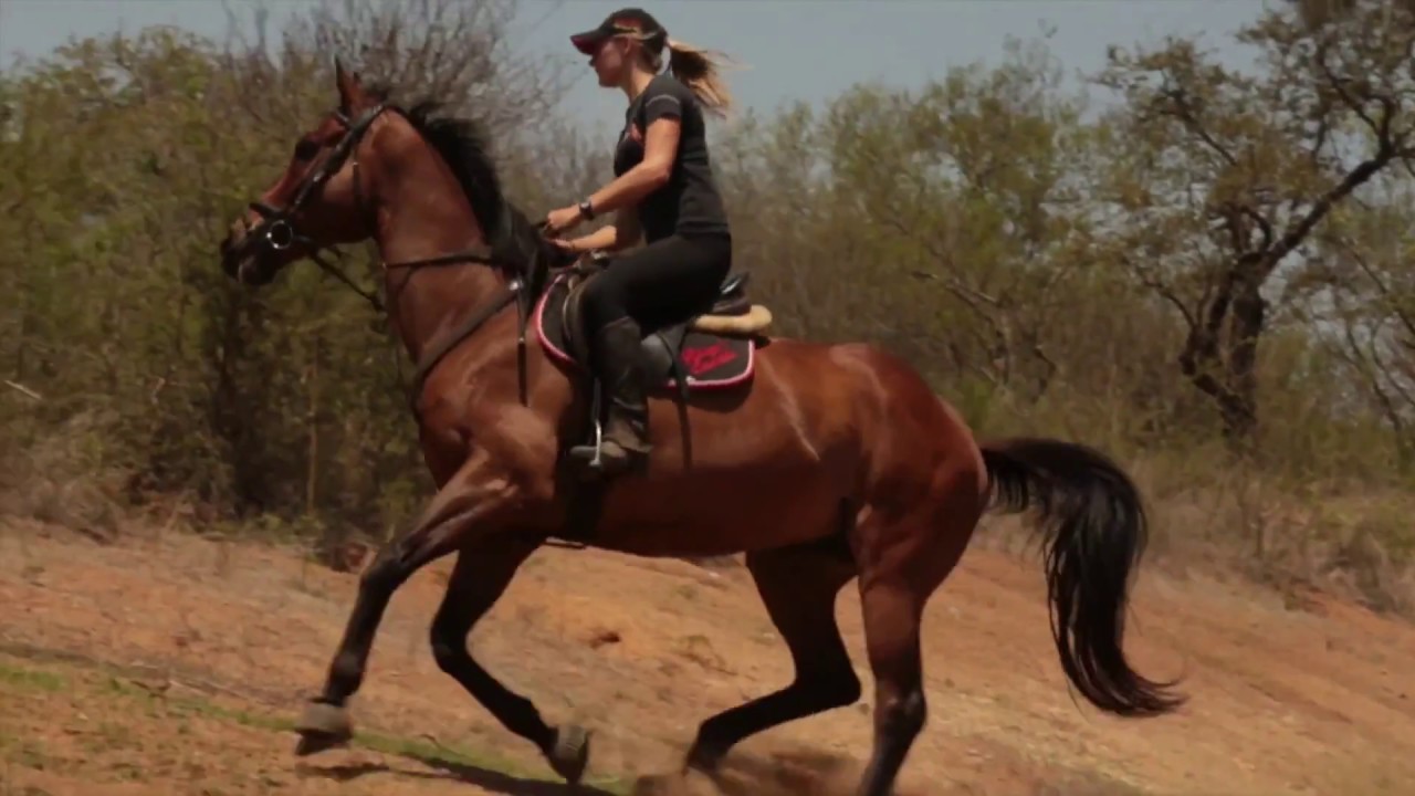 African Dream Horse Safari - South Africa! - YouTube