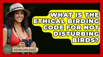 What Is The Ethical Birding Code For Not Disturbing Birds? - Bird Watching Diaries