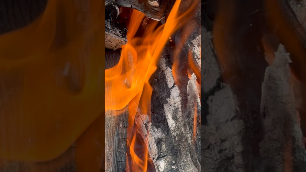 Cooking Chicken on Open Fire