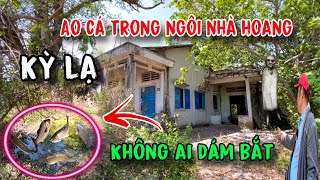 Kỳ lạ / Ngôi nhà bỏ hoang có ao cá không ai dám vào bắt