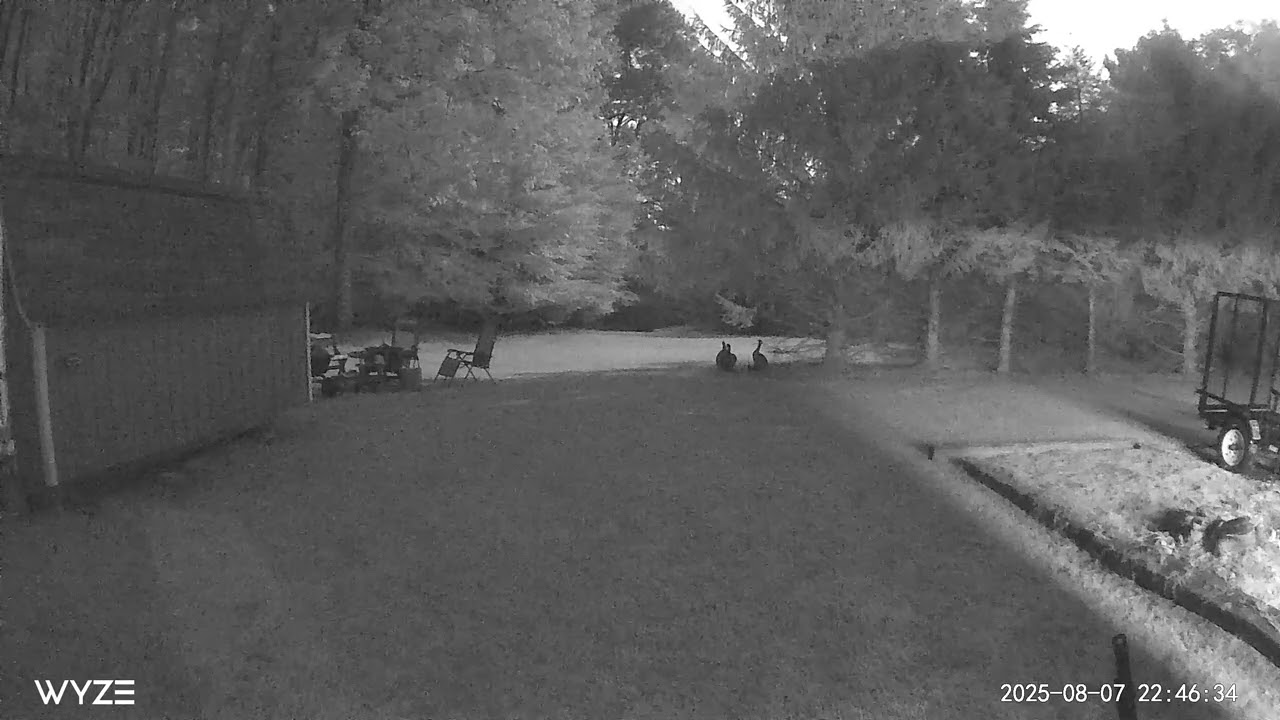 Bigfoot whoops R&R study site garage camera