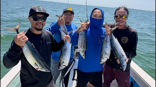 Bonito Blitzing!! Chasing Bones in South Massachusetts in July #bonefishing #bonito 