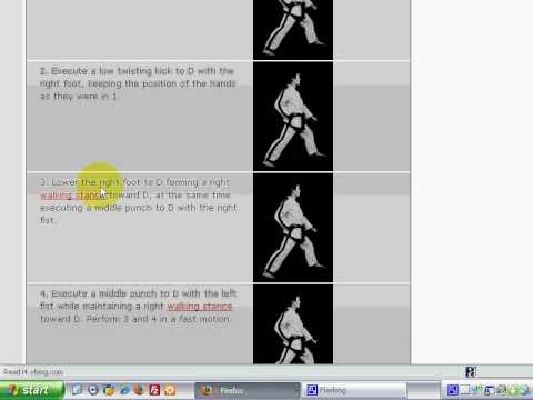 encyclopedia of taekwondo