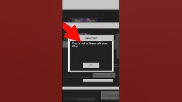 Minecraft PE Skin Problem Solve #shorts #minecraft #mcpe #skin