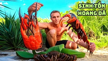 Sinh Tồn Trên Đảo Hoang - Câu Cá Mập Và Tôm Hùm Khổng Lồ