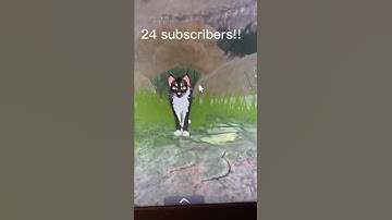 24 subscriber special part 1!