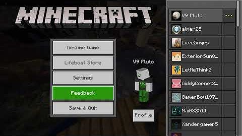 Minecraft Lifeboat Hacker Report (Cicekenes) Flying