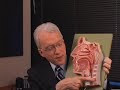 Cricopharyngeal Spasm: A Troubling Feeling of a Lump in the Throat