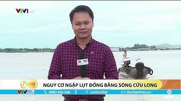 Nguy cơ ngập lụt đồng bằng sông Cửu Long | VTVWDB