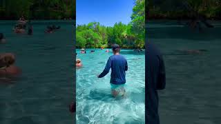 Silver Glen Spring In Florida, USA