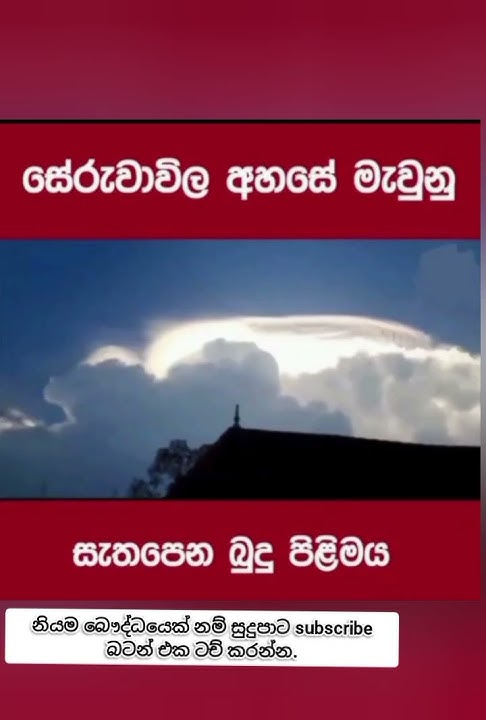 මේ දෙවල් පෙන්නේත් පෙර කරපු පිං බලයට #buddha #shorts #ternding #viral