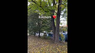 Autumn 🍂 Beaty #shorts #viral #foryou #song