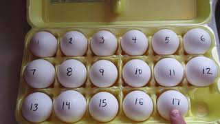 Eggstraordinary Counting 17