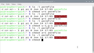 Linux Special Permissions