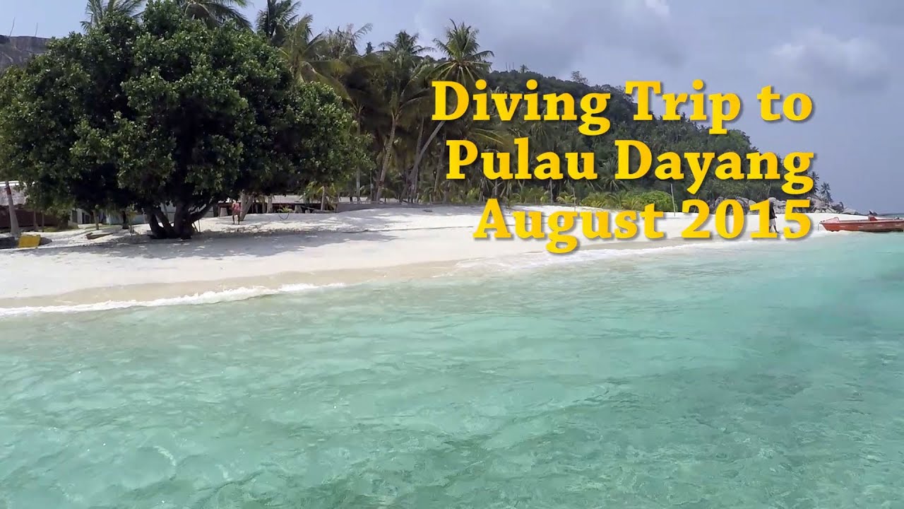 Diving Trip to Pulau Dayang, Aug 2015