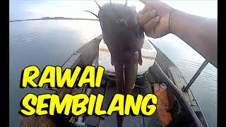 rawai sembilang