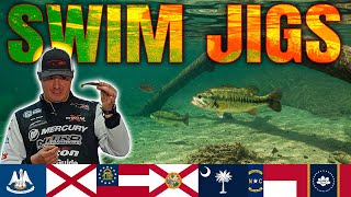 UNLEASH Your Swim Jig Potential - Will Davis's SECRET Fishing Tips for More Bass