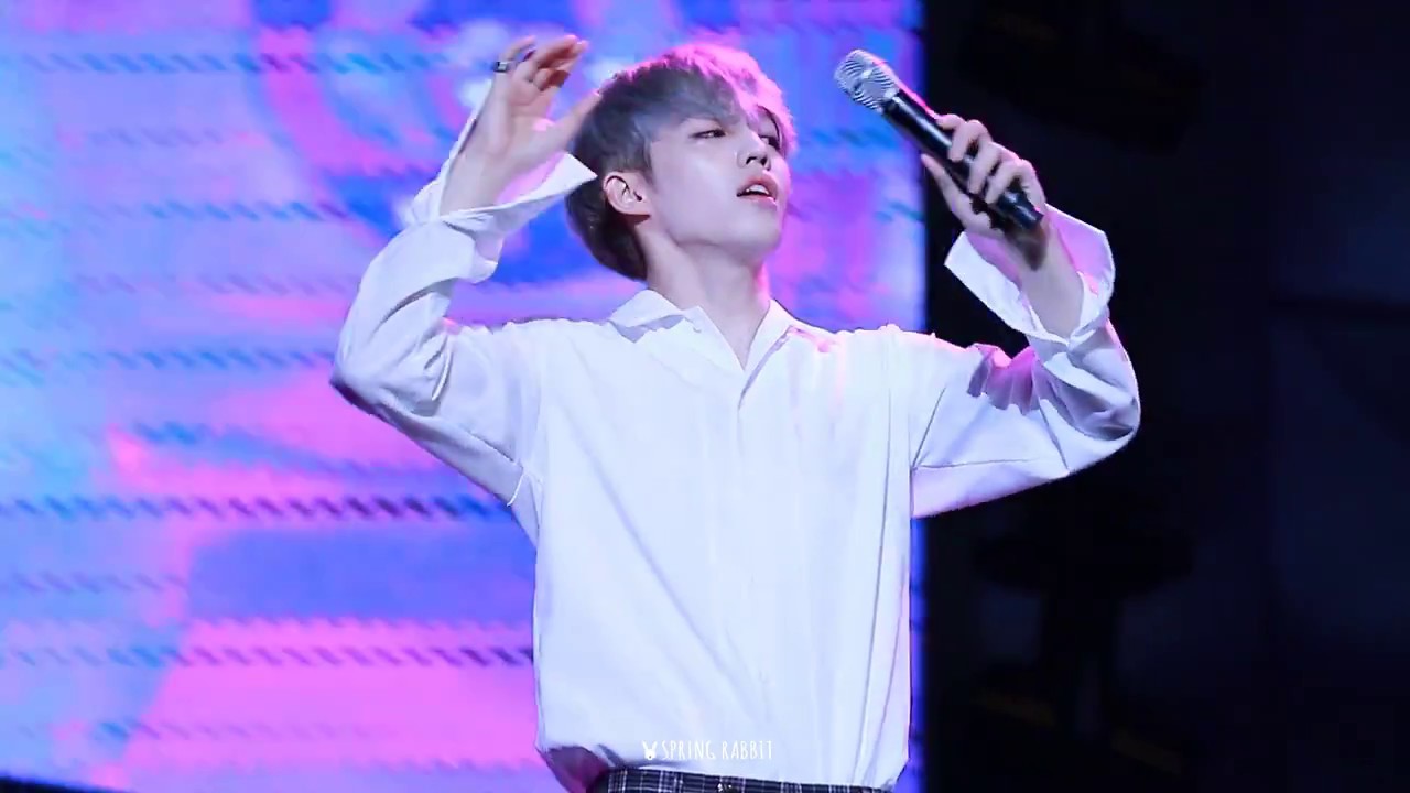 170708 파크콘서트- Check in  (에스쿱스 focus)