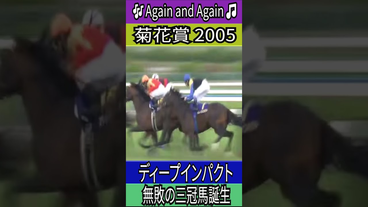 無敗の三冠馬誕生 【菊花賞 2005】 ディープインパクト #菊花賞