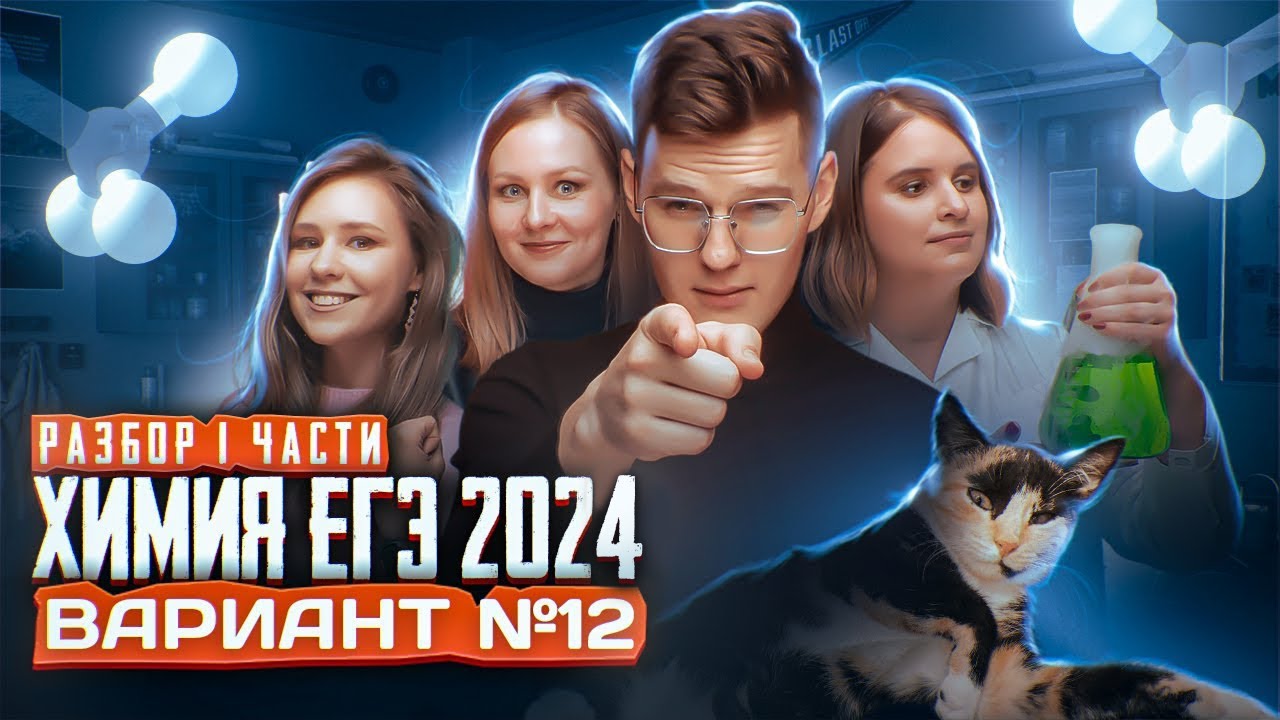 Вариант №12 ЕГЭ по ХИМИИ 2024, Степенин и Дацук | Анна, Влад, Варя и ...