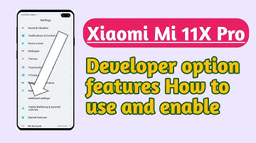 Xiaomi Mi 11X Pro , How to use and enable Developer option features explain