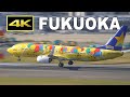 [4K] Plane spotting on October 29, 2021 at Fukuoka Airport in Japan / 福岡空港 / Fairport