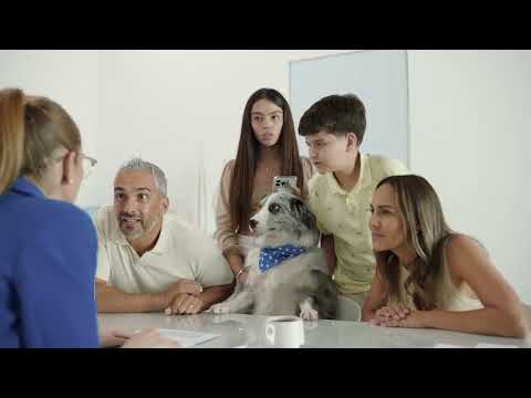 BUSCAMOS CLIENTES QUE NECESITEN UN WIFI QUE LLEGUE A TODOS LOS RINCONES DE LA CASA 🏠📡 - video from Megacable
