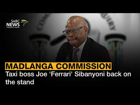 Madlanga Commission | Taxi boss Joe 'Ferrari' Sibanyoni back on the stand