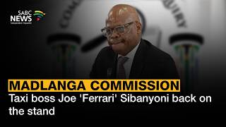 Madlanga Commission | Taxi boss Joe 'Ferrari' Sibanyoni back on the stand
