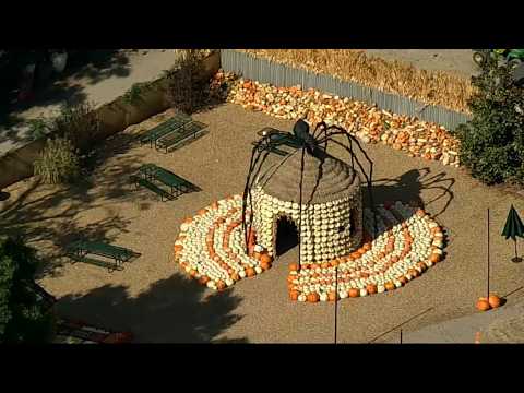 Fall officially arrives at the Dallas Arboretum