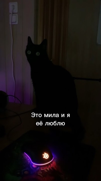 В этот момент в потолок моей студии заселилась птица с птенцами 😄 - YouTube
