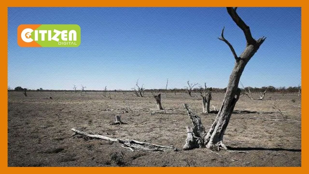 citizen tv live stream kenya Number of counties experiencing drought rises to 24