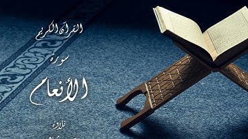 سورة الأنعام || عمرو شاهين