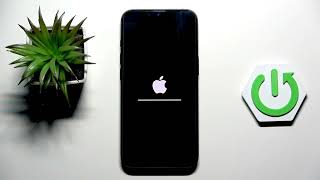 iPhone 17e – How to Reset Network Settings