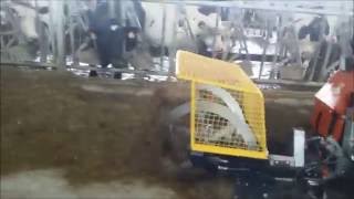Arrimador Westermann Cleanmeleon Cm2 Xl