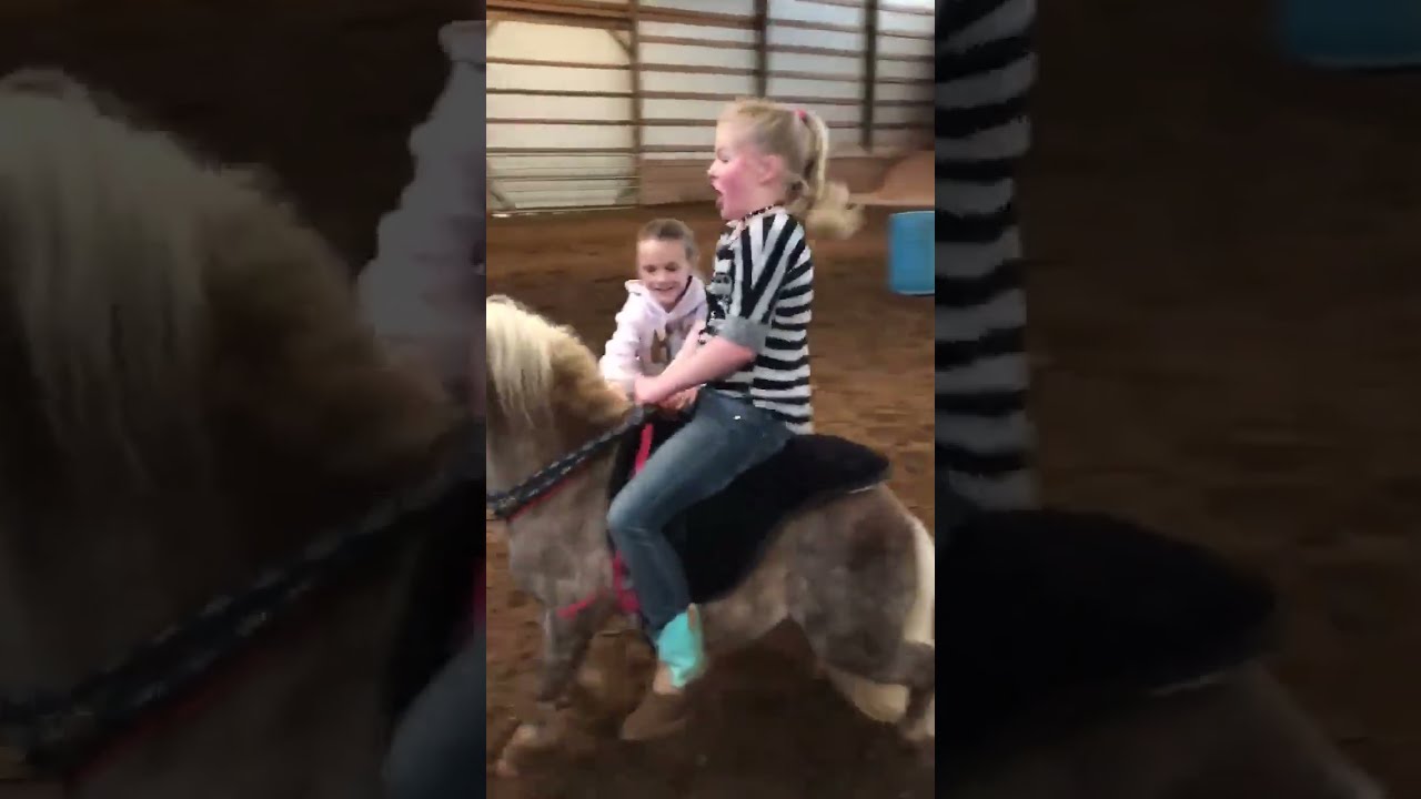 Girl Gets Bucked Off Horse Brayden Alsup