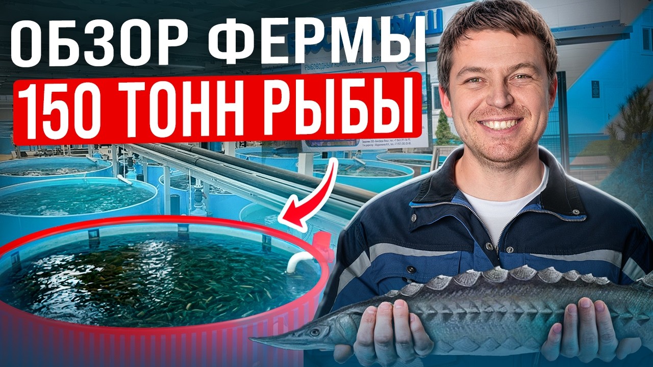 Это перевернет ваш взгляд на разведение рыбы уже СЕГОДНЯ / СЕКРЕТЫ крупнейшей УЗВ фермы Поволжья