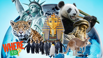 Singapedia - Learn the Continents [Official Music Video]