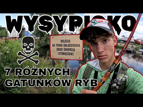 FISHING IN AN ABANDONED LANDSCAP / LOTS OF UNEXPECTED SPECIES