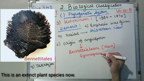 BIOLOGY - NEET - BIOLOGICAL CLASSIFICATION - PHYLOGENETIC SYSTEM OF CLASSIFICATION - JOHN HUTCHINSON