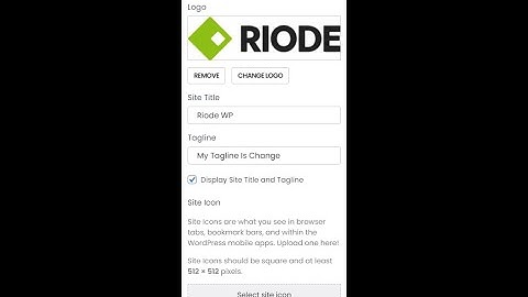 Riode WordPress (How to upload/change logo, site icon & tagline in Riode WordPress)