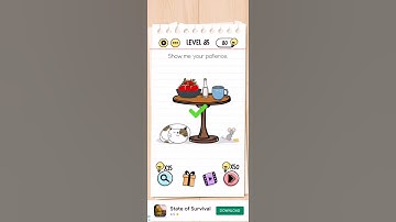 Brain Test Level 85 Answer