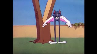 ᴴᴰ Tom and Jerry, Episode 63 - The Flying Cat [1952] - P3\/3 | TAJC | Duge Mite