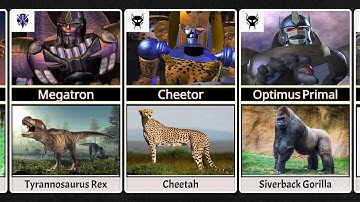 Transformers Beast Wars Characters In Real Life (1996)