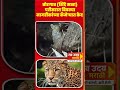 ब रग व श द मळ पर सर त ब बट य दर शन 