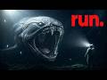 Why Dunkleosteus Terrified the Ancient Ocean