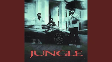 Jungle (feat. Inderpal Moga)