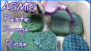 (Rin) Paste Asmr Sponge Rinsing | Sponge Squeezing Paste Asmr Sleep Oddly satisfying