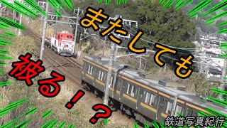 【臨時貨物】 DD200＋チキ7000のレール輸送を撮る 【被られまくり！？】