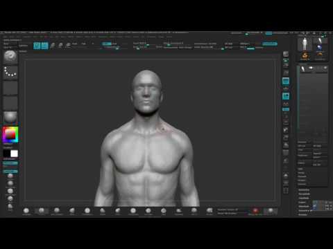 how to make the zbrush viewport bigger